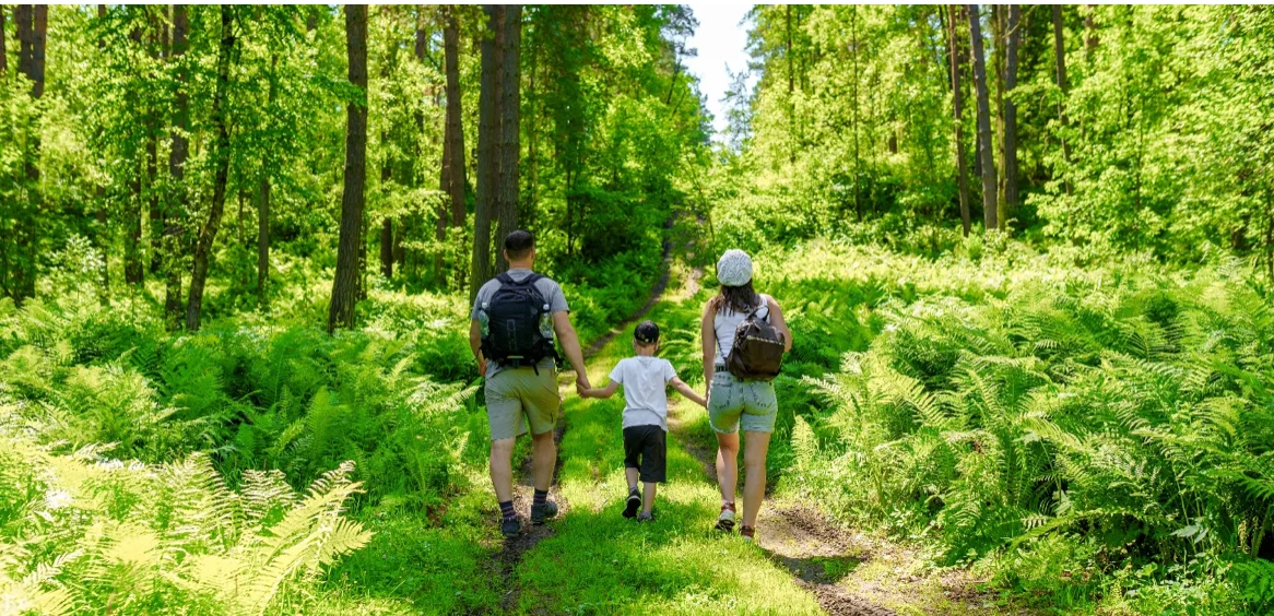 Family walking through the forest at Graystones Preserve