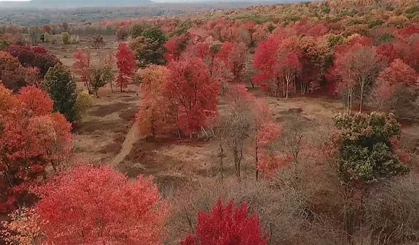 3 Acre Homesite - Fall foliage landscape