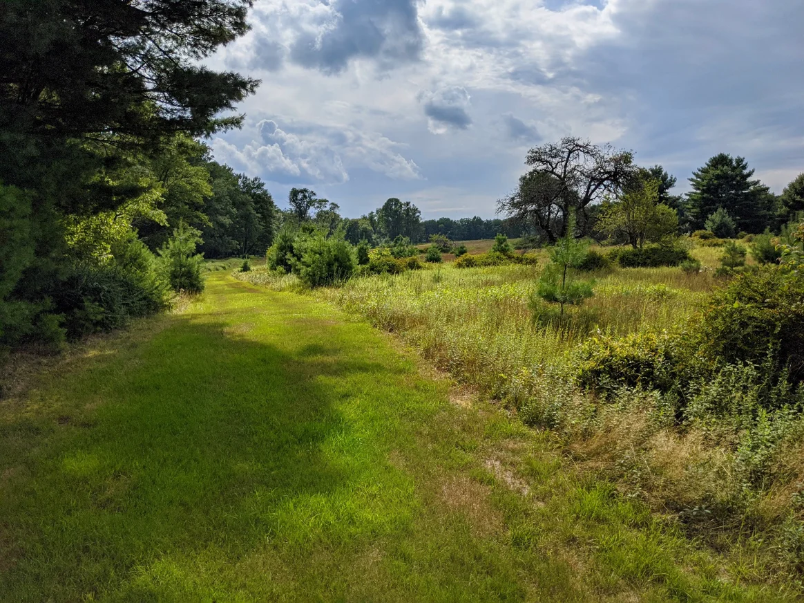 Walking path through the Open Meadow at Graystones Preserve