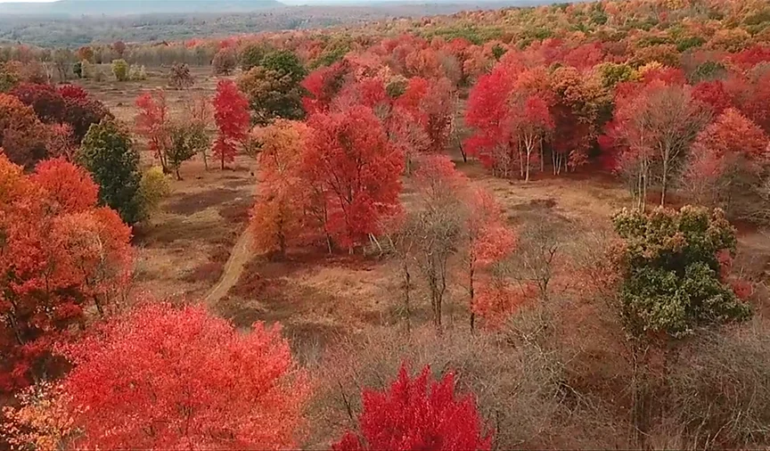 3 Acre Homesite at Graystones Preserve