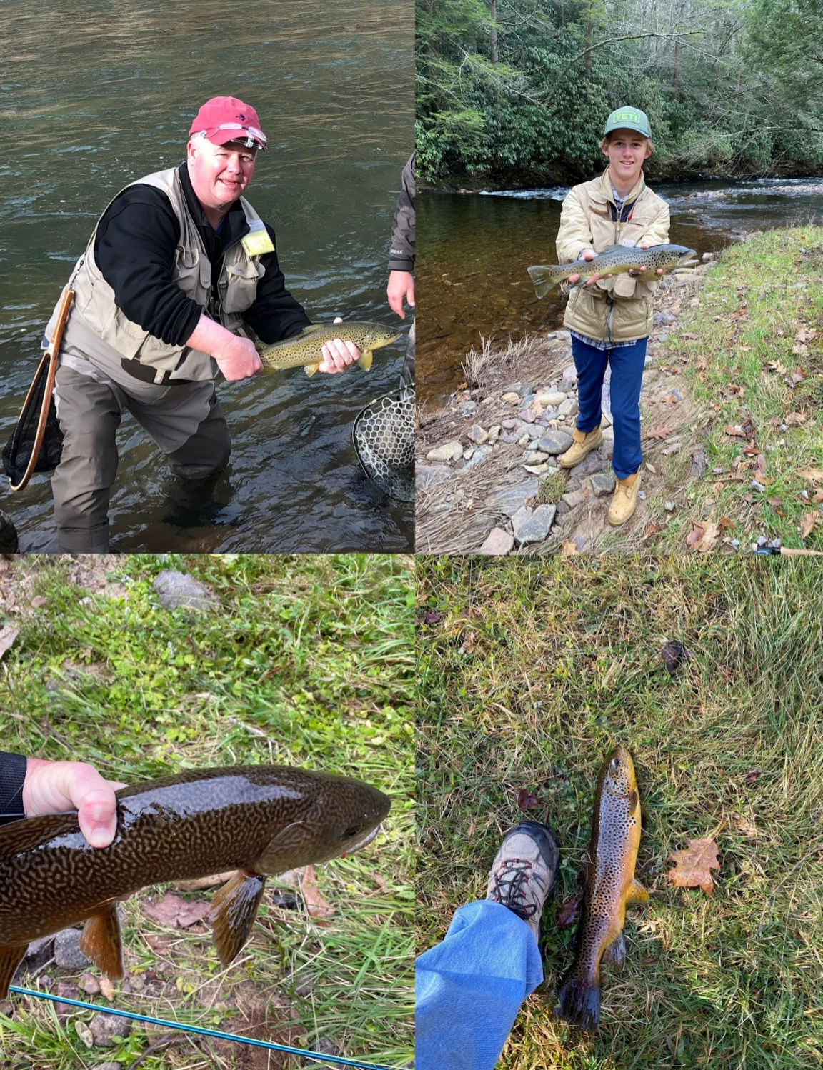 Anglers with trout caught in the Graystones stream