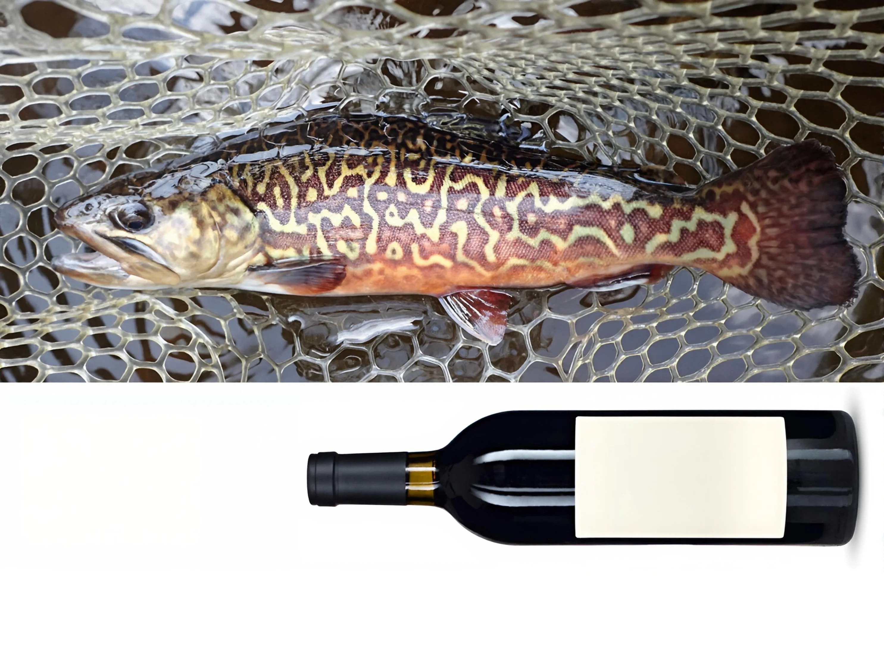 Fresh-caught trout — the reward of a great day