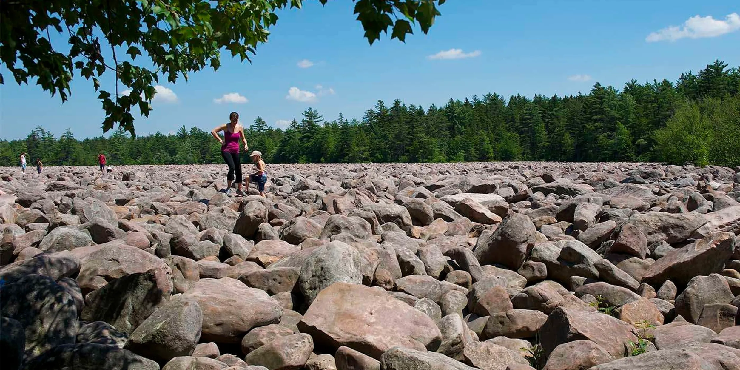 Boulder Field at Hickory Run State Park