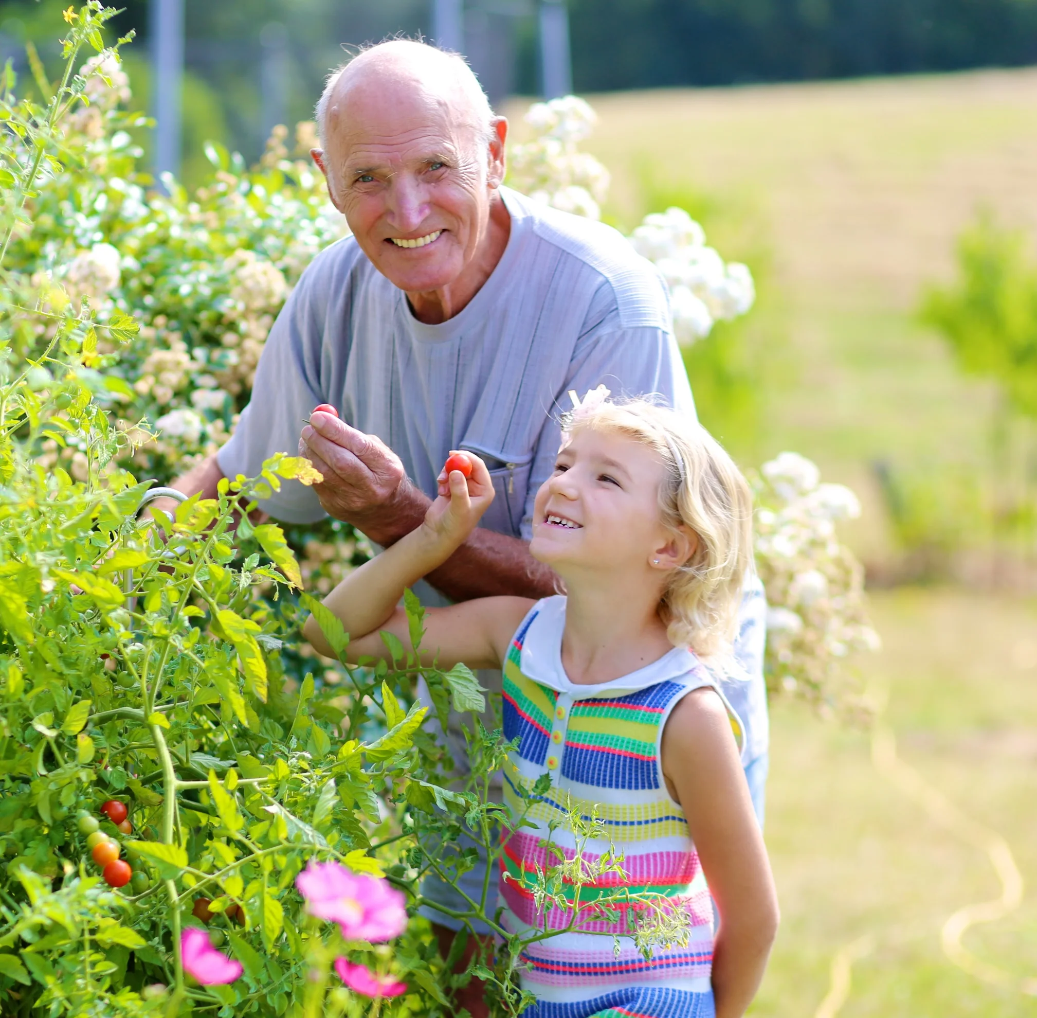 Grandfather and granddaughter sharing a smile
