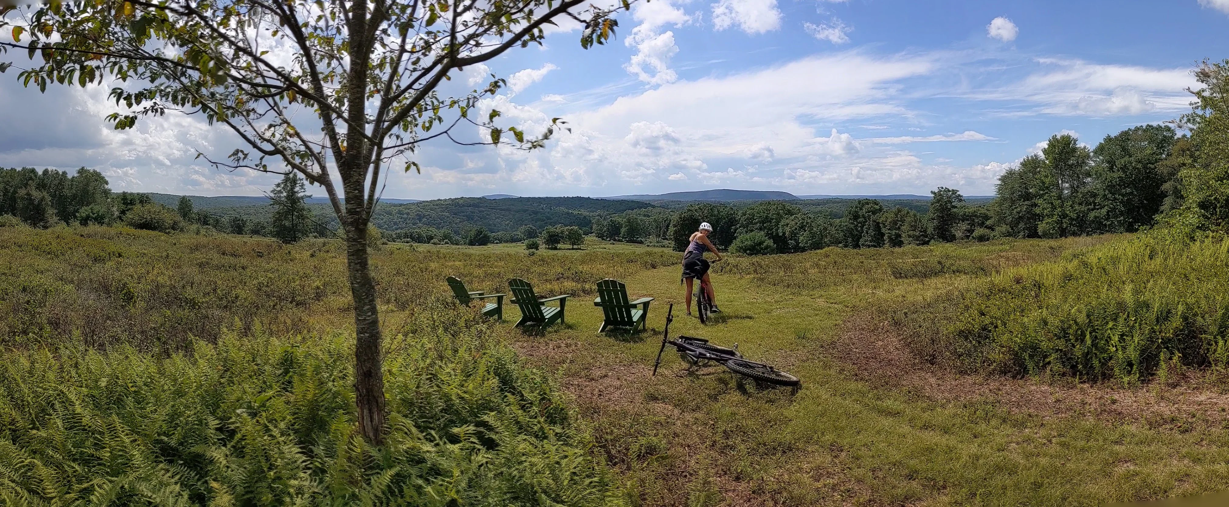 People enjoying the beautiful woodland setting