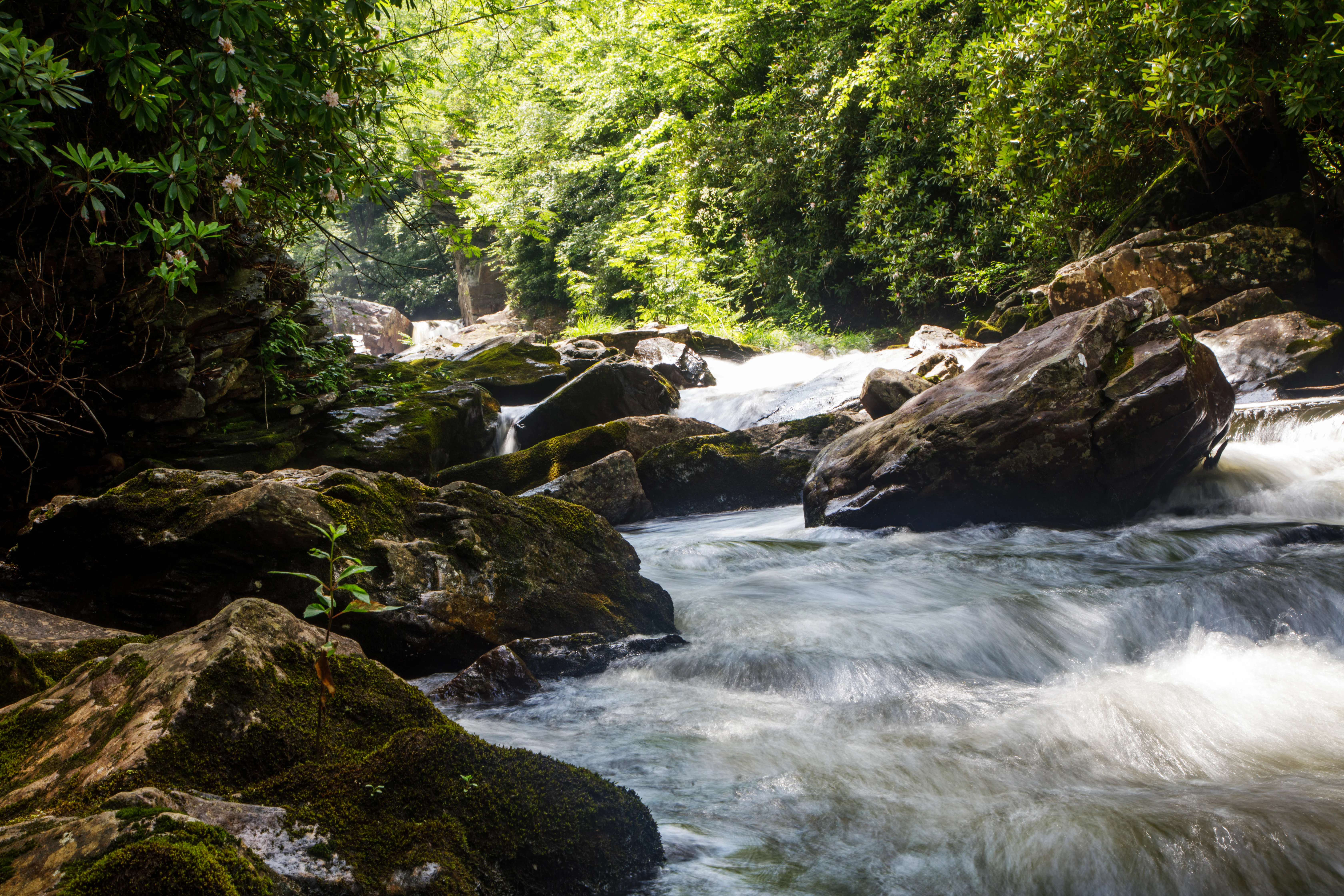 Rapids rushing through the rocky riverbed